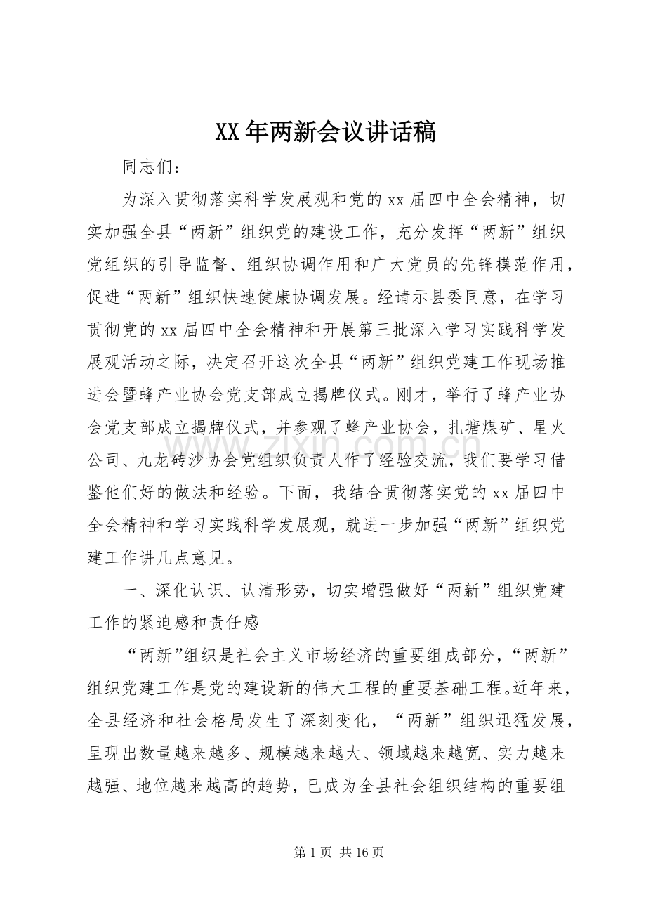 XX年两新会议讲话发言稿.docx_第1页