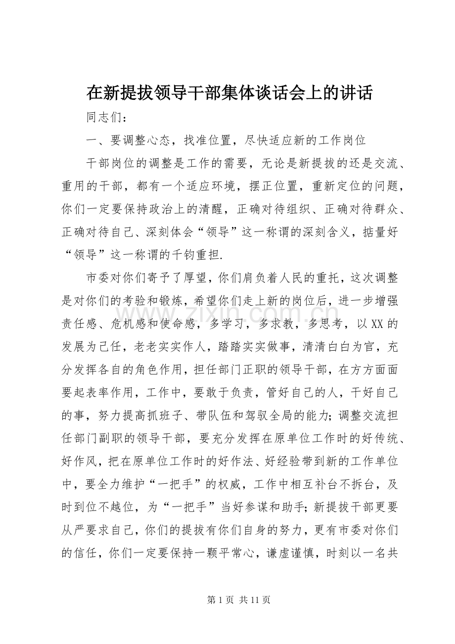 在新提拔领导干部集体谈话会上的讲话发言.docx_第1页