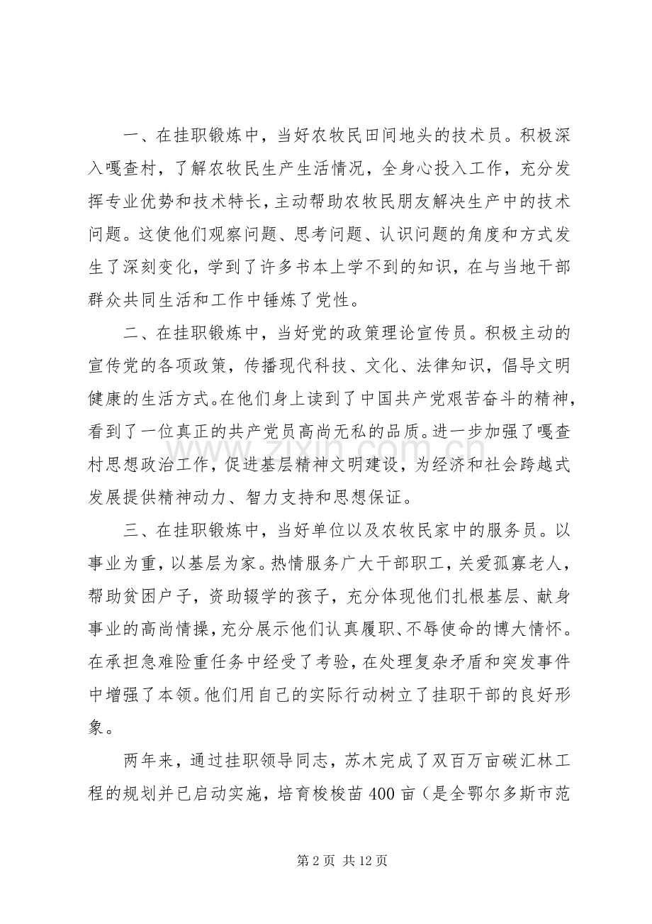 挂职干部交流会讲话发言稿.docx_第2页