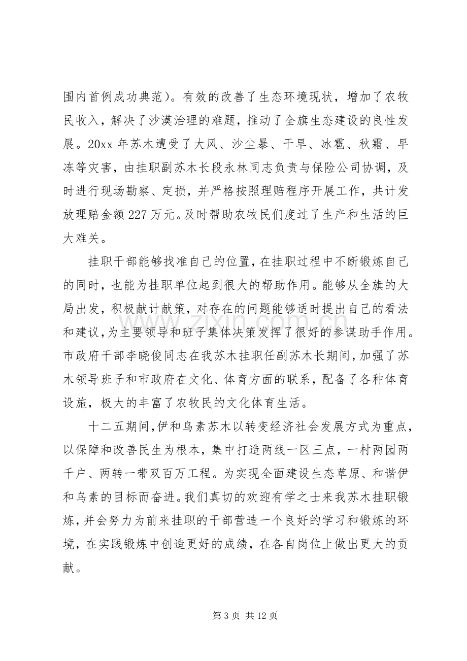 挂职干部交流会讲话发言稿.docx_第3页