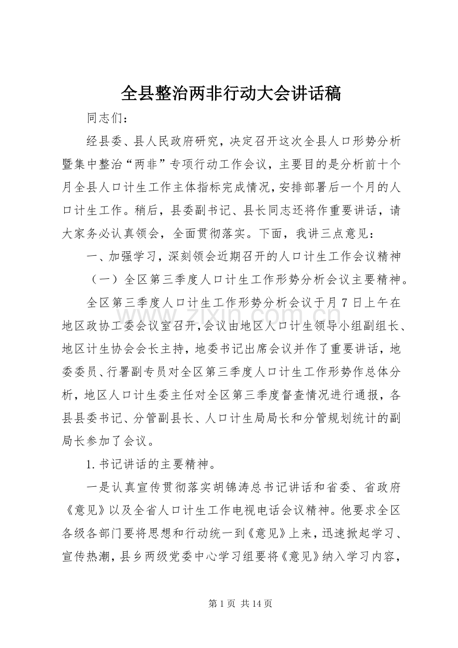 全县整治两非行动大会讲话发言稿.docx_第1页