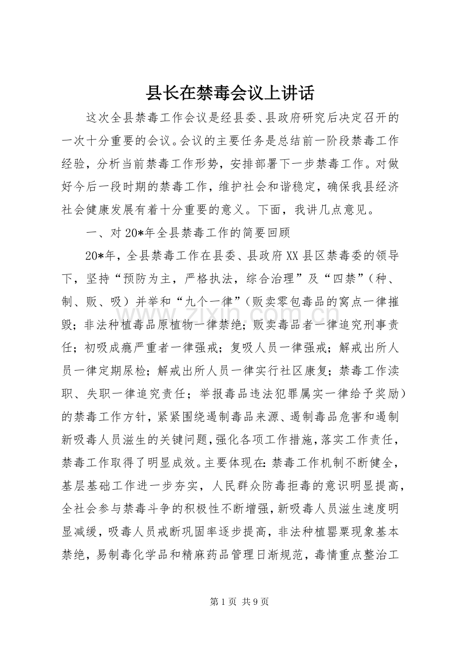 县长在禁毒会议上讲话发言.docx_第1页