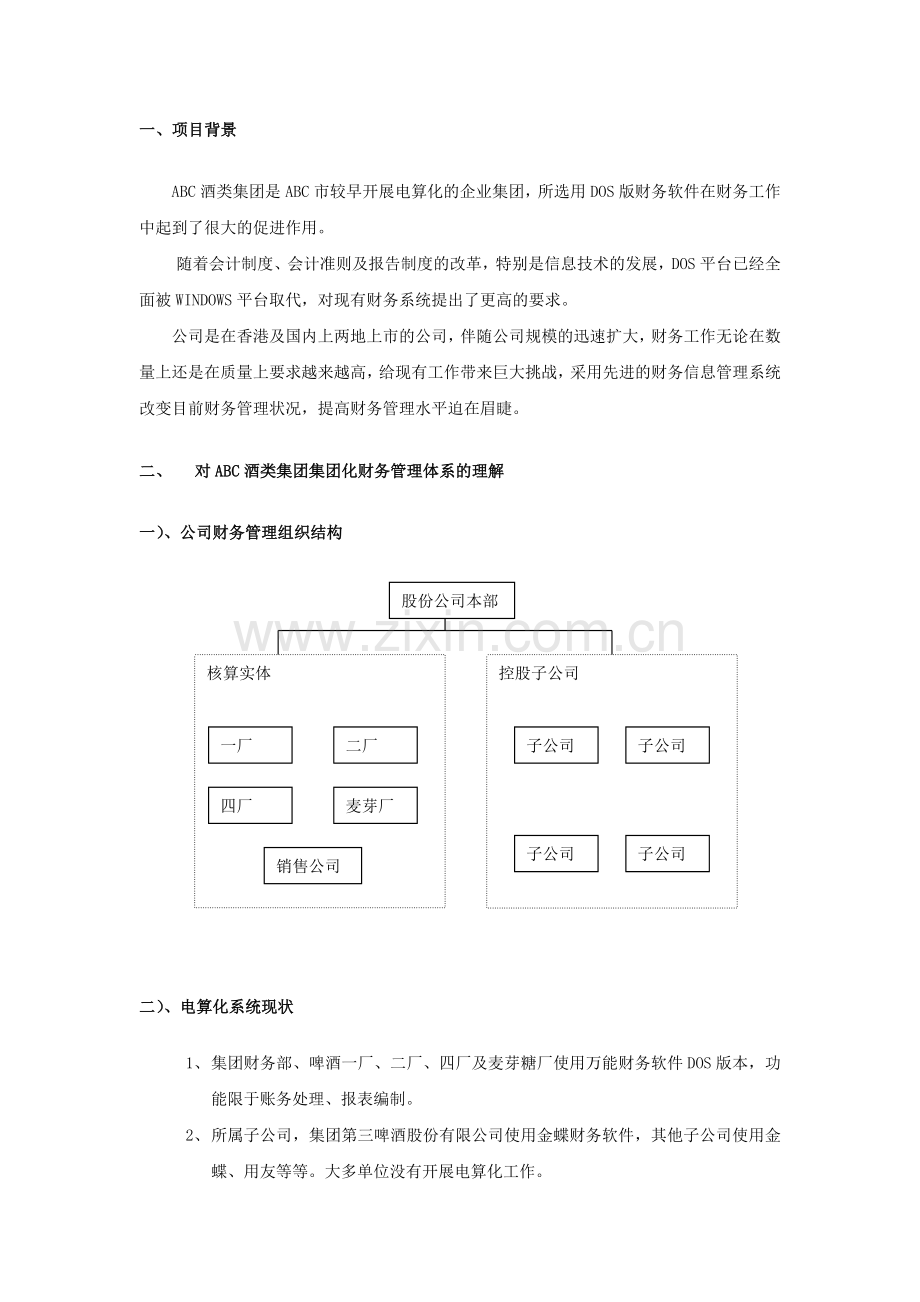 某集团财务信息系统的解决方案.docx_第3页