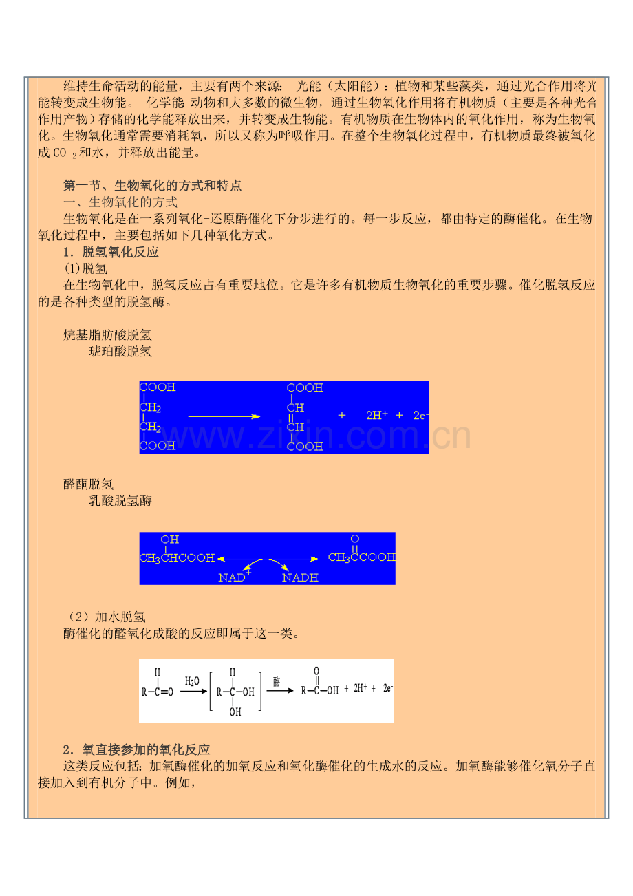 第七章 生物氧化.doc_第2页