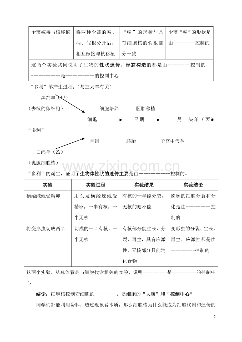 高中生物《细胞核——系统的控制中心》学案2-新人教版必修1.doc_第2页