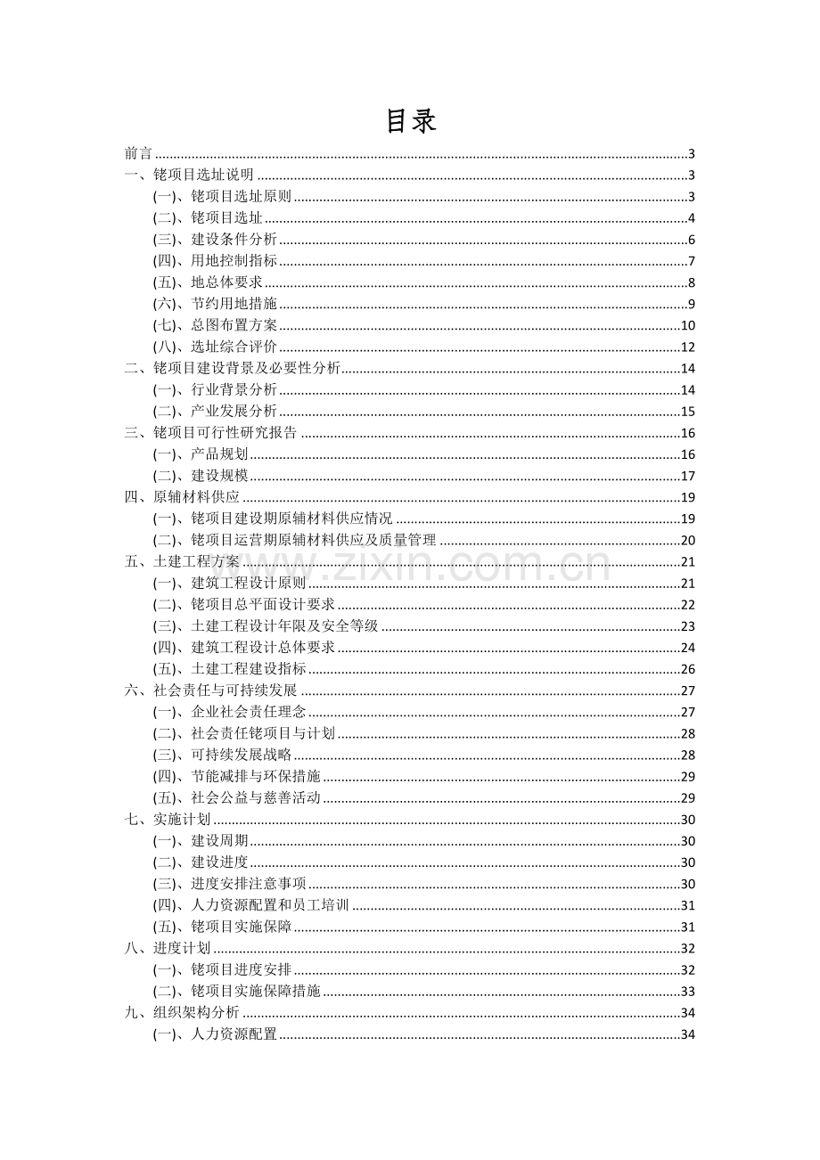 铑项目投资分析及可行性报告.docx_第2页