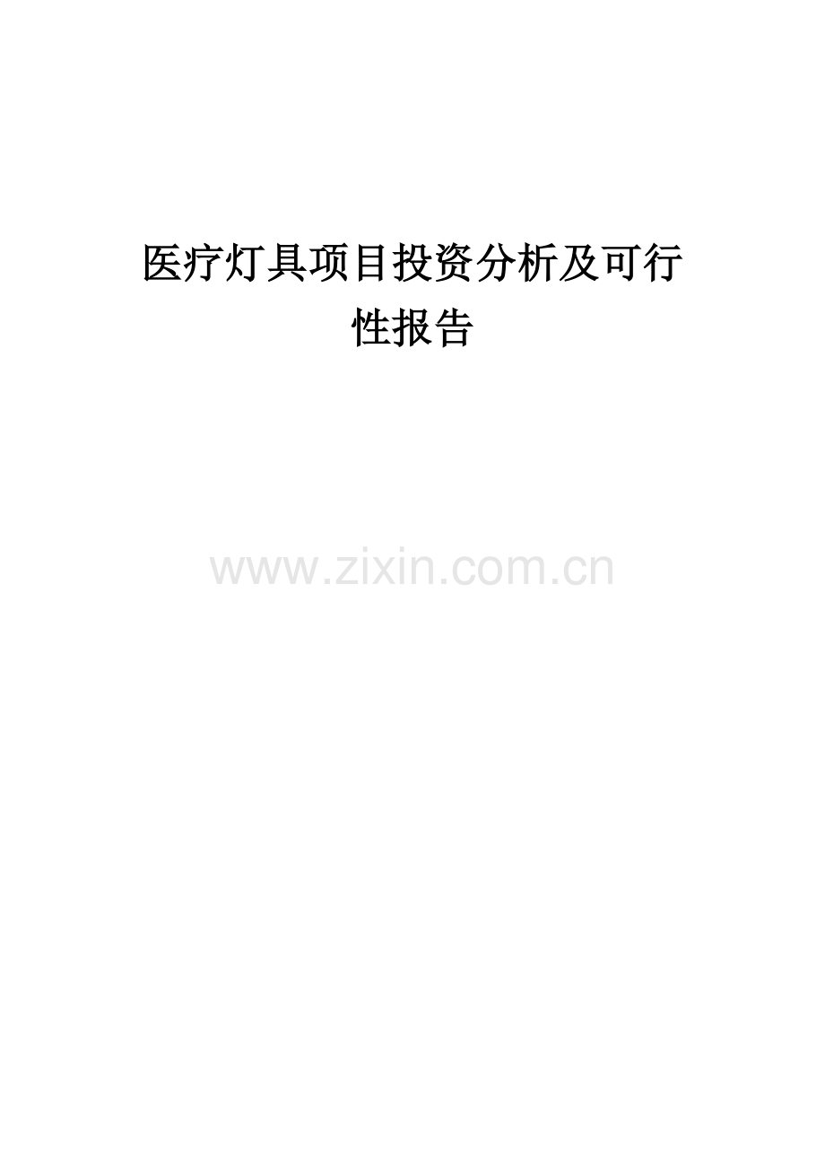 医疗灯具项目投资分析及可行性报告.docx_第1页