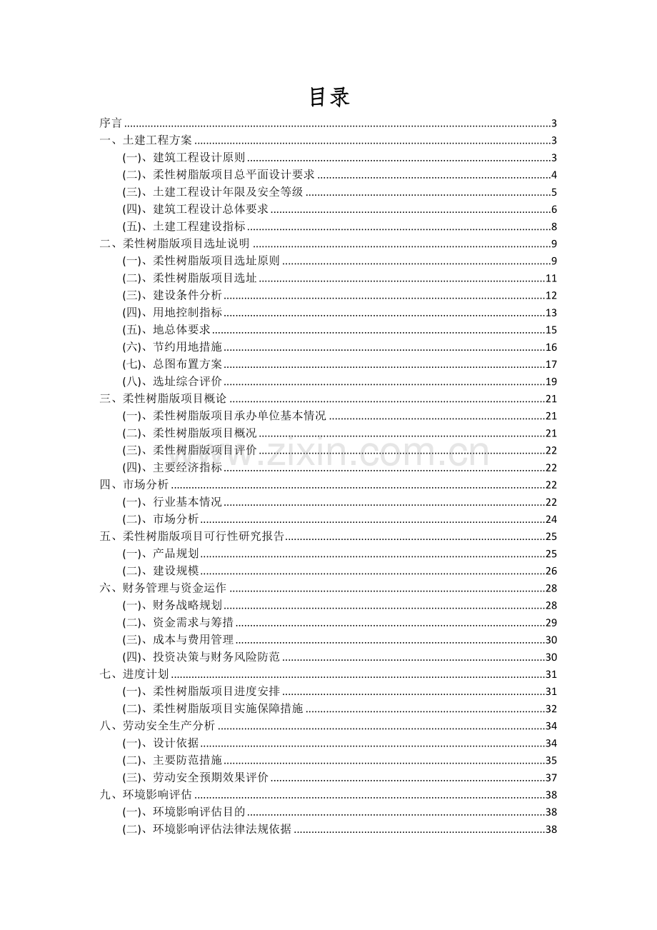 柔性树脂版项目投资分析及可行性报告.docx_第2页