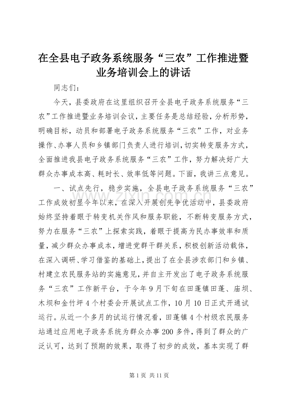 在全县电子政务系统服务“三农”工作推进暨业务培训会上的讲话发言.docx_第1页