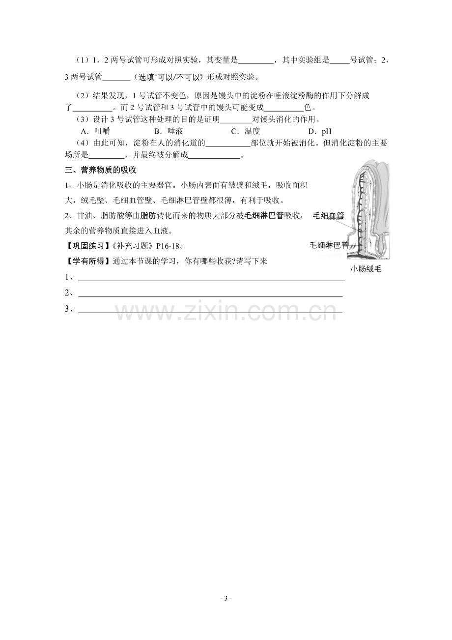 第二节人体的消化与吸收.doc_第3页