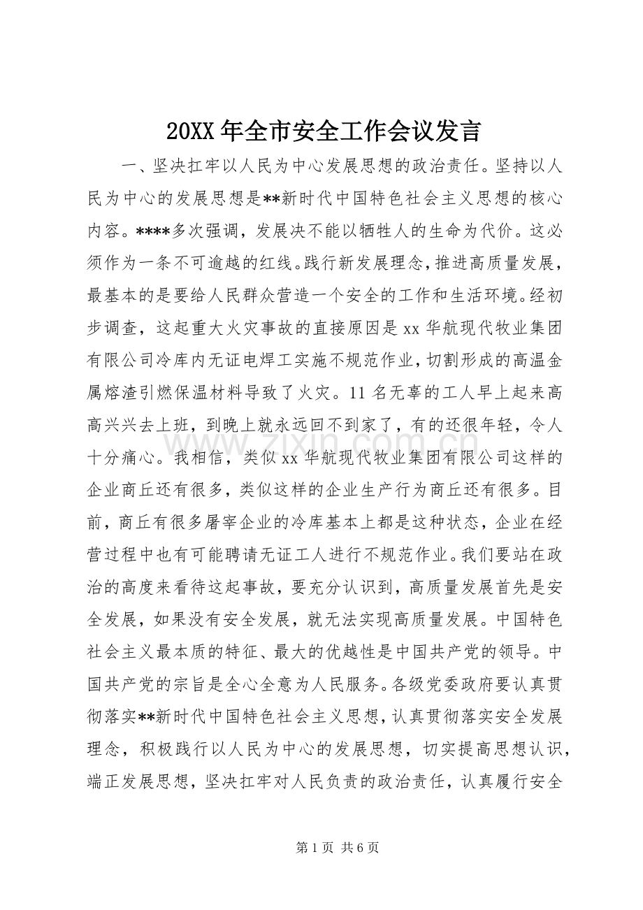 20XX年全市安全工作会议发言稿.docx_第1页