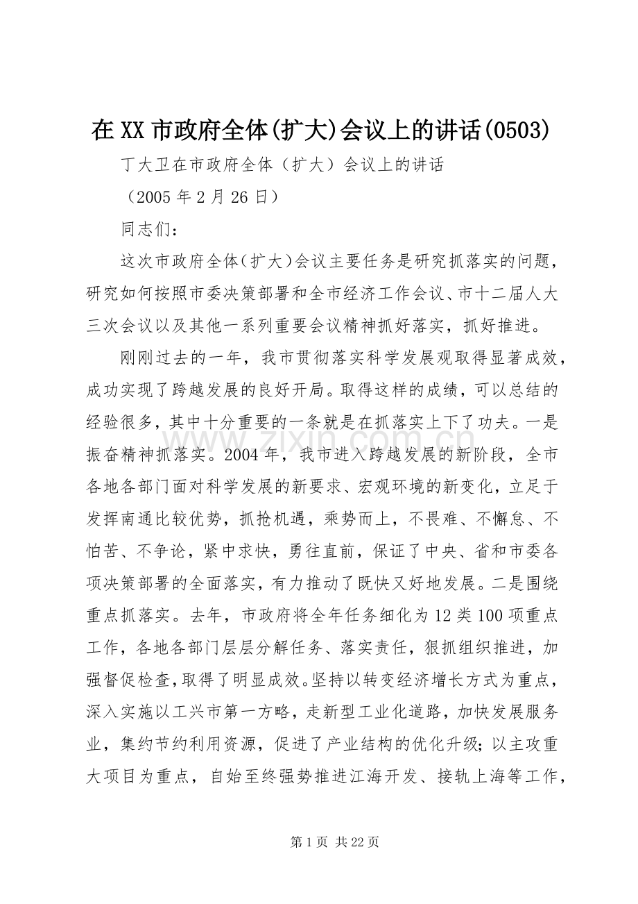 在XX市政府全体(扩大)会议上的讲话发言(0503).docx_第1页