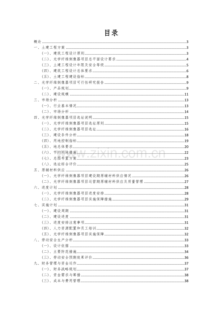 光学纤维倒像器项目投资分析及可行性报告.docx_第2页