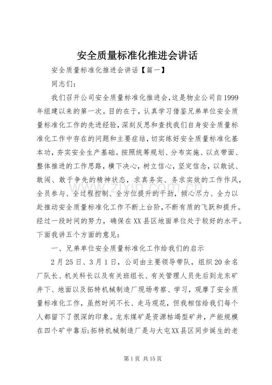 安全质量标准化推进会讲话发言.docx_第1页