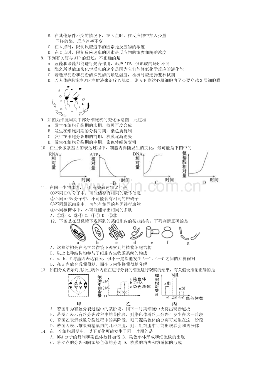 山西省忻州一中康杰中学临汾一中长治二中2014届高三第一次四校联考生物试题.doc_第2页