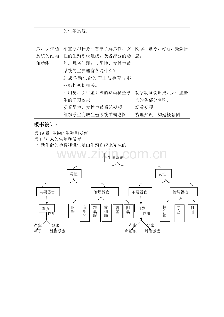 人的生殖和发育（第一课时）.doc_第2页