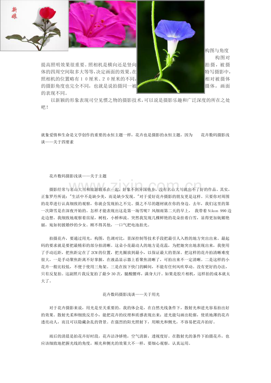 花卉摄影基础知识.doc_第3页