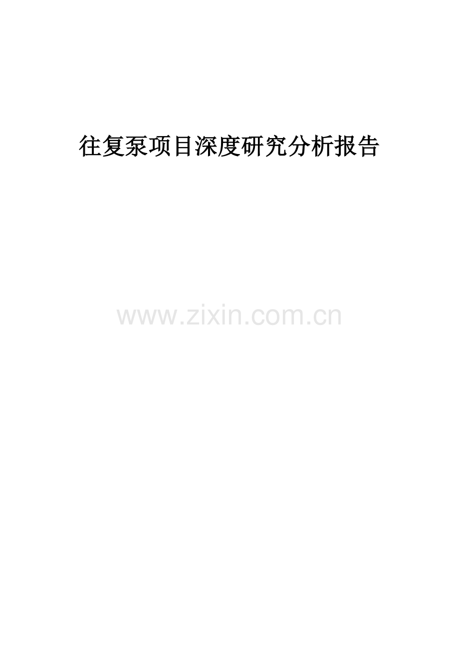 往复泵项目深度研究分析报告.docx_第1页