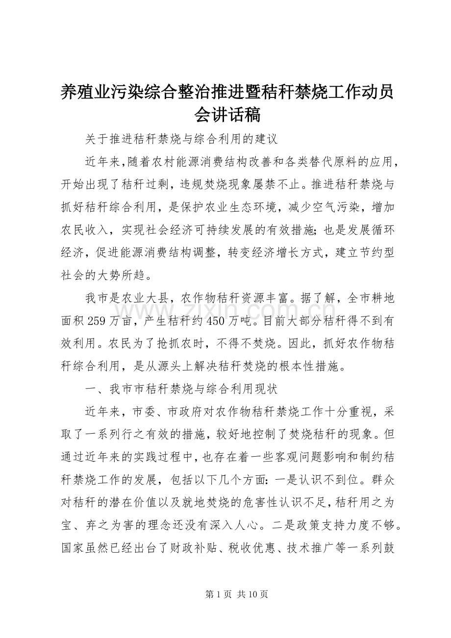 养殖业污染综合整治推进暨秸秆禁烧工作动员会的的讲话稿.docx_第1页