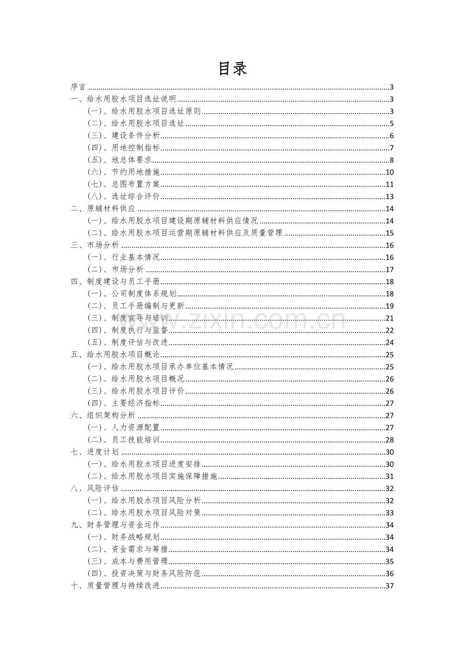 给水用胶水项目可行性研究报告.docx_第2页