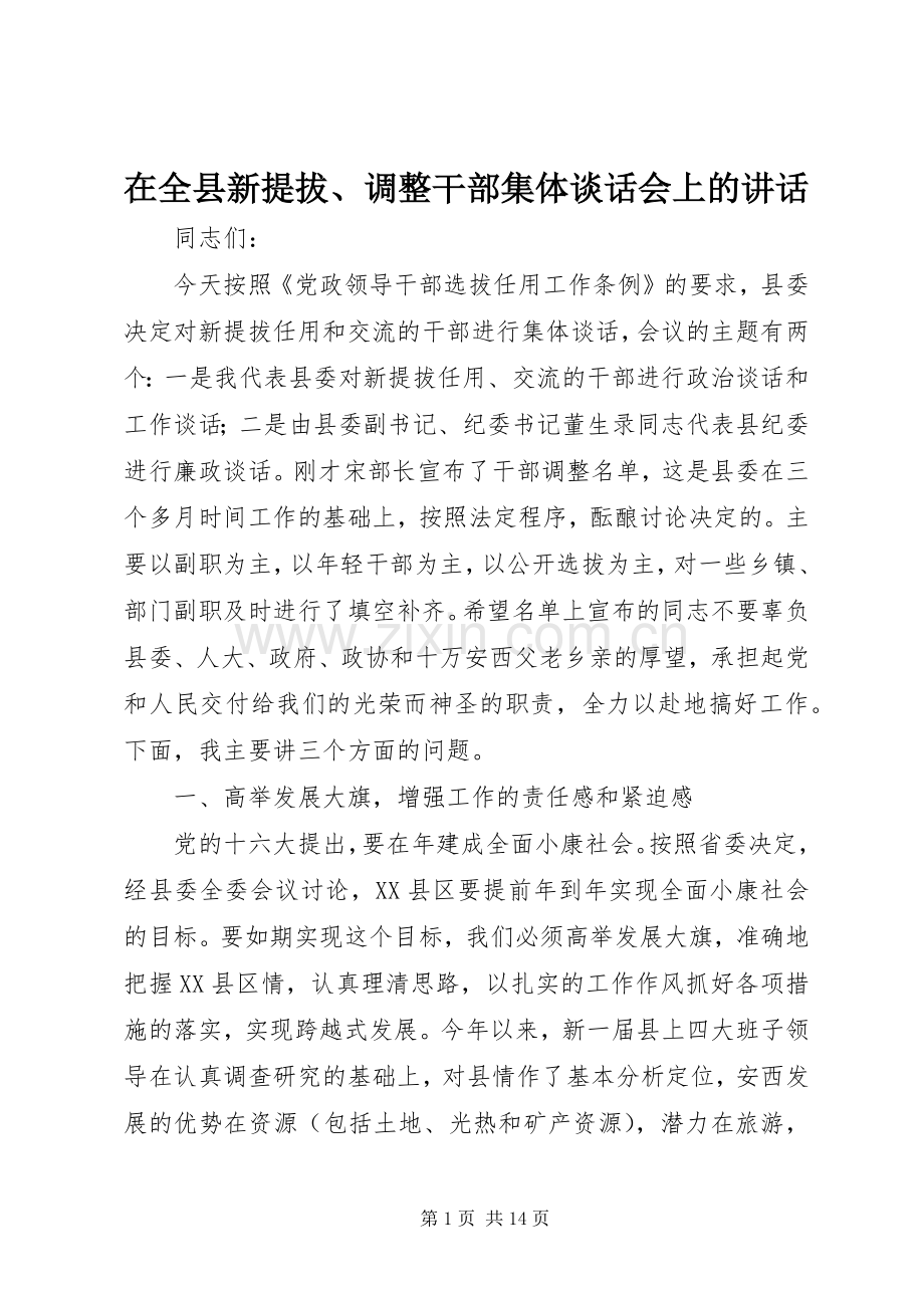 在全县新提拔、调整干部集体谈话会上的讲话发言.docx_第1页