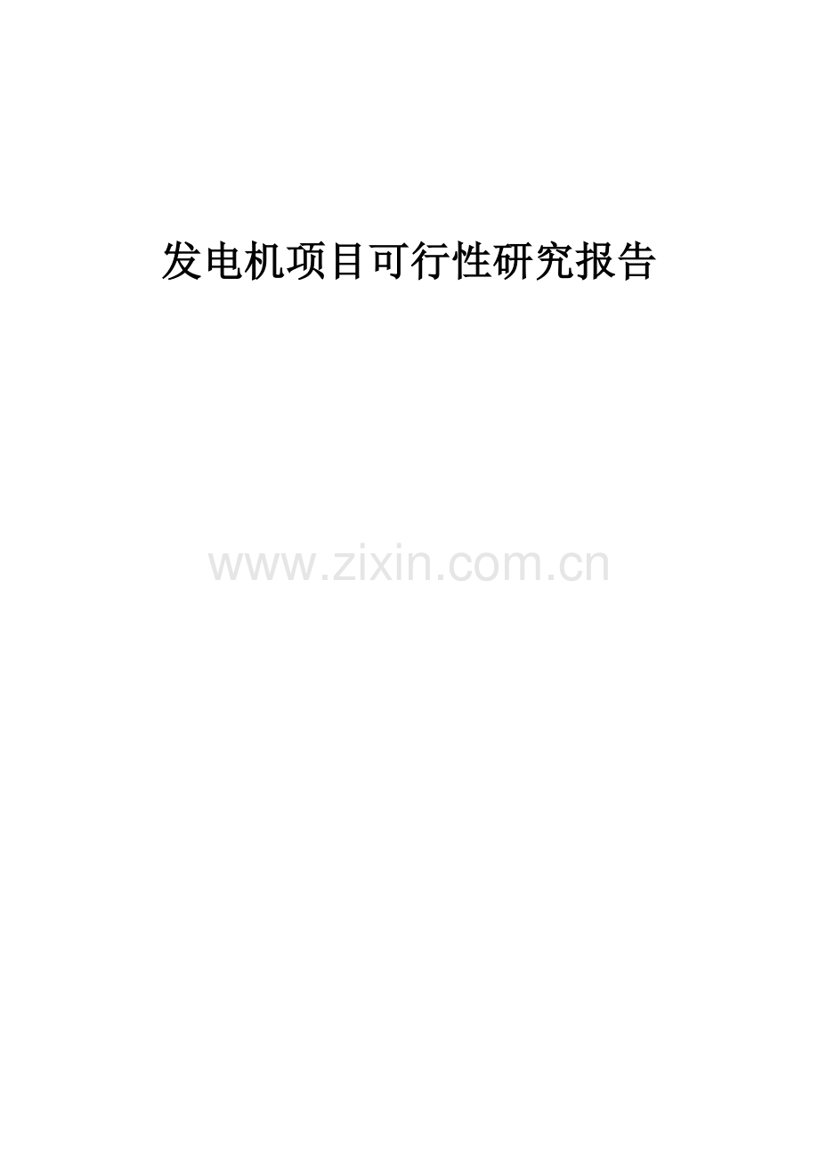 发电机项目可行性研究报告.docx_第1页