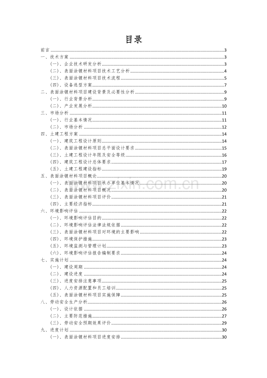 表面涂镀材料项目可行性研究报告.docx_第2页