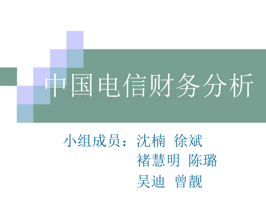 某公司财务分析教材.docx_第2页