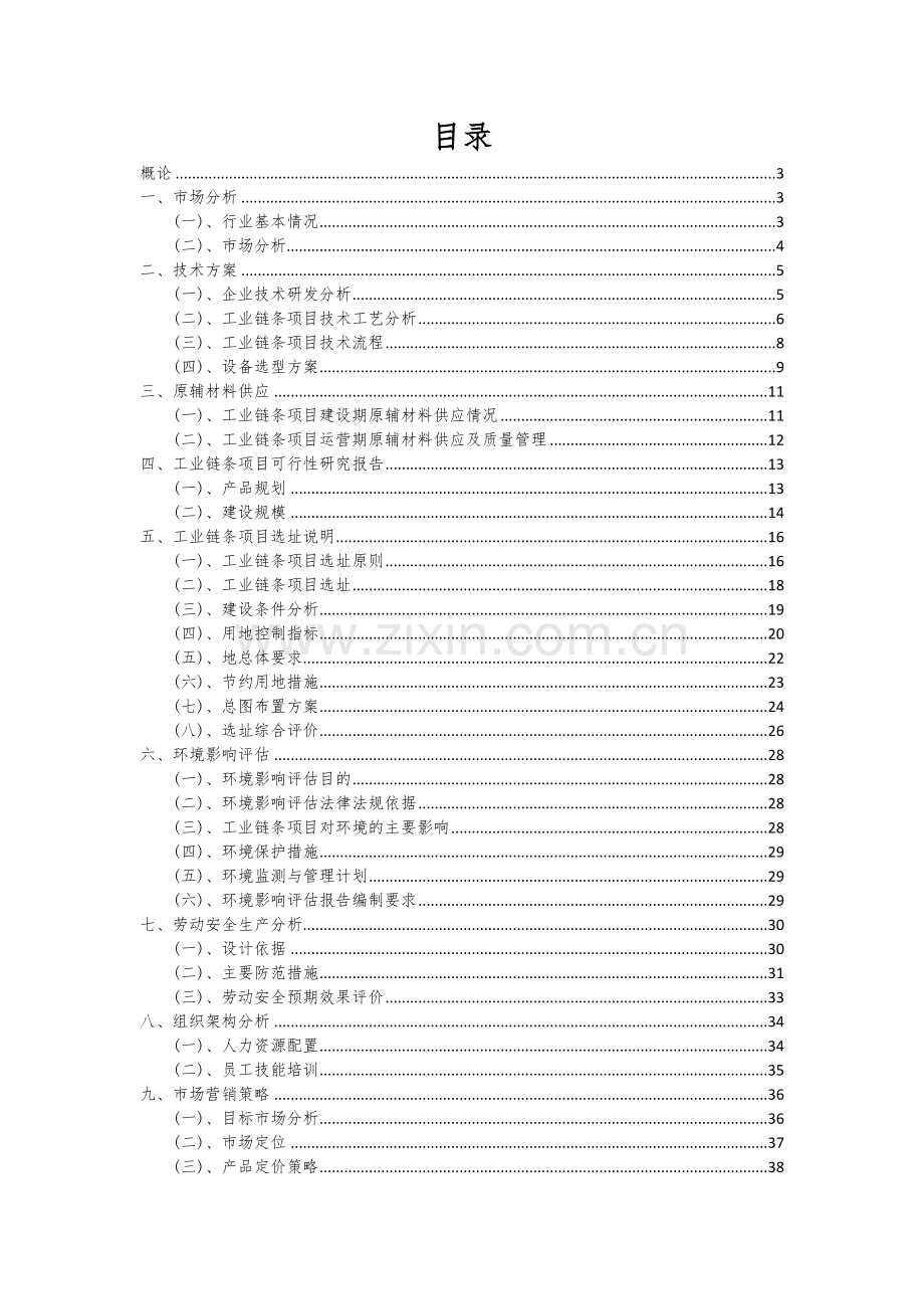 工业链条项目可行性分析报告.docx_第2页