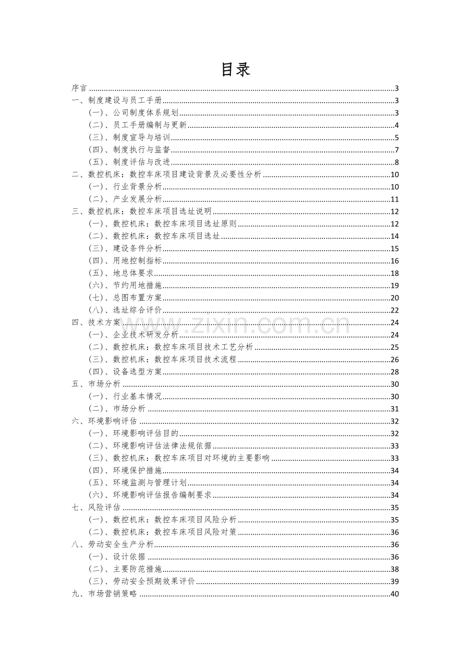 数控机床：数控车床项目可行性研究报告.docx_第2页