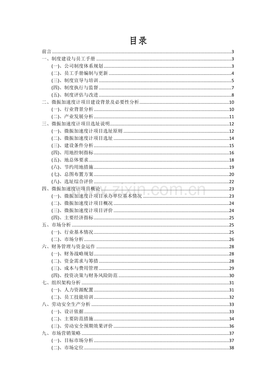 微振加速度计项目可行性研究报告.docx_第2页