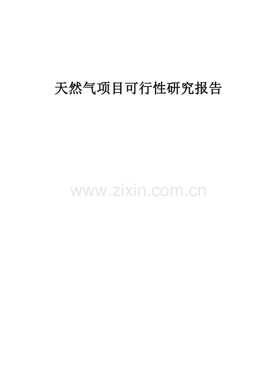 天然气项目可行性研究报告.docx_第1页