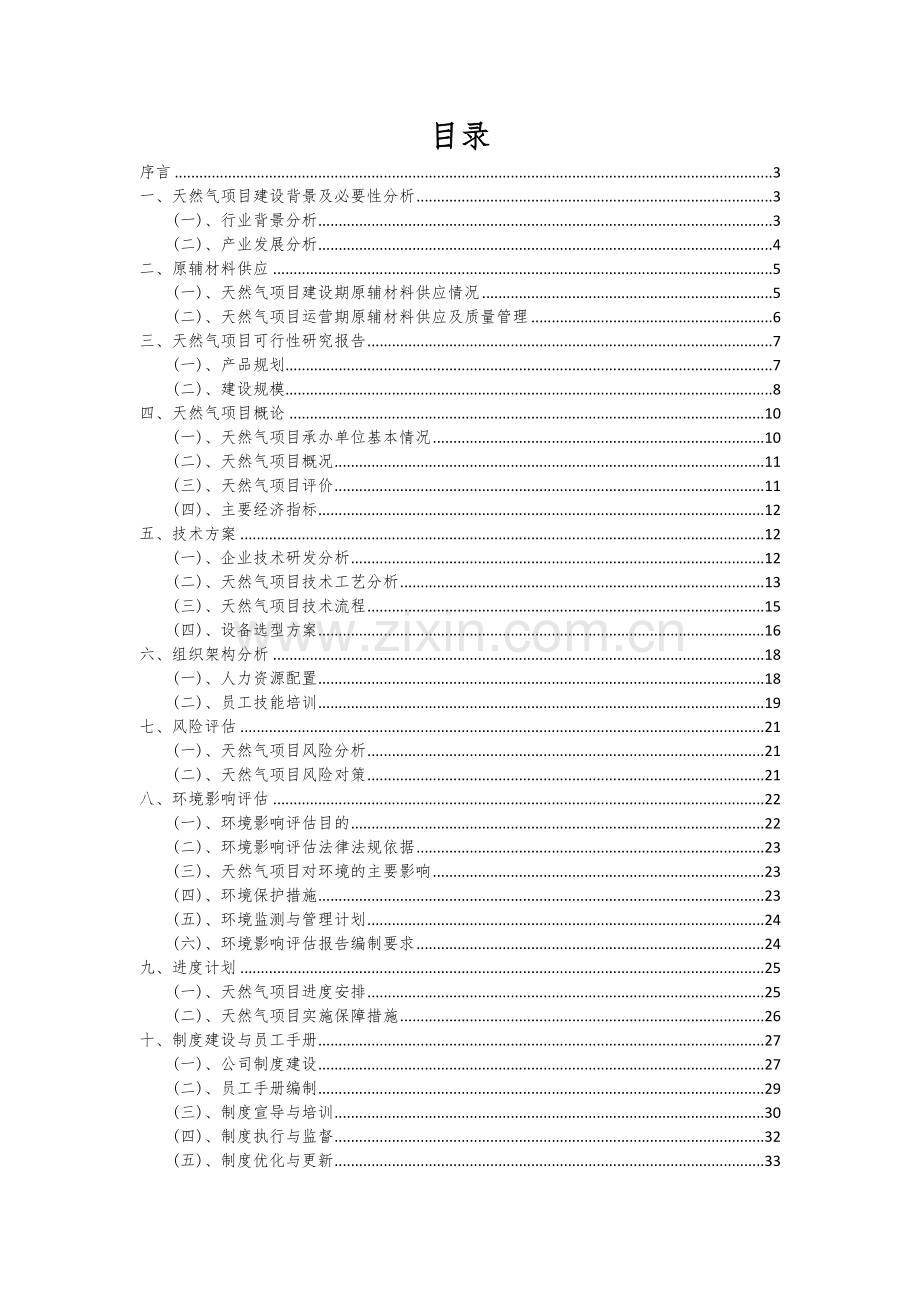 天然气项目可行性研究报告.docx_第2页