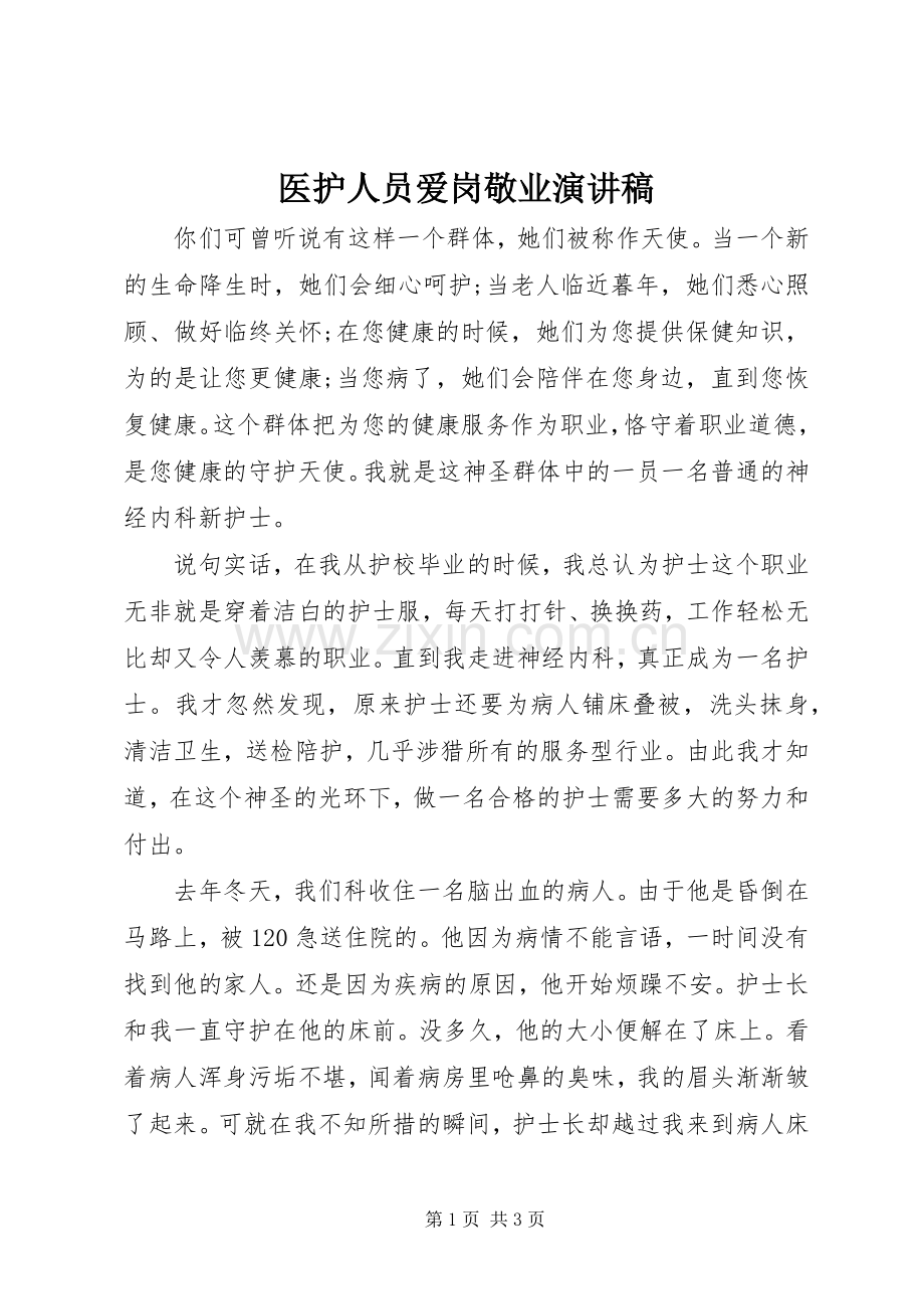 医护人员爱岗敬业演讲致辞.docx_第1页