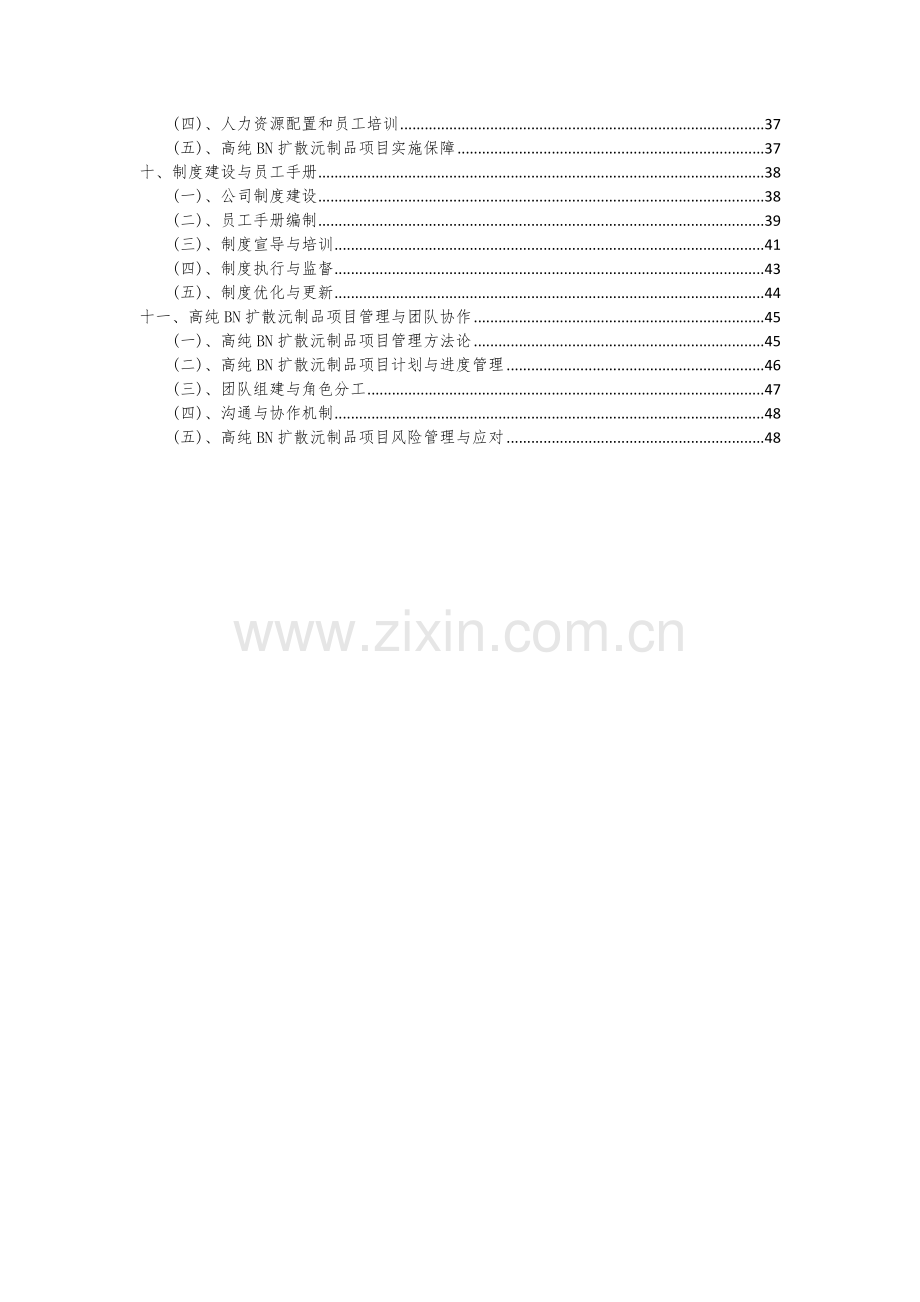 高纯BN扩散沅制品项目深度研究分析报告.docx_第3页