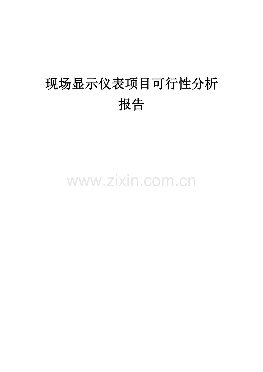 现场显示仪表项目可行性分析报告.docx_第1页