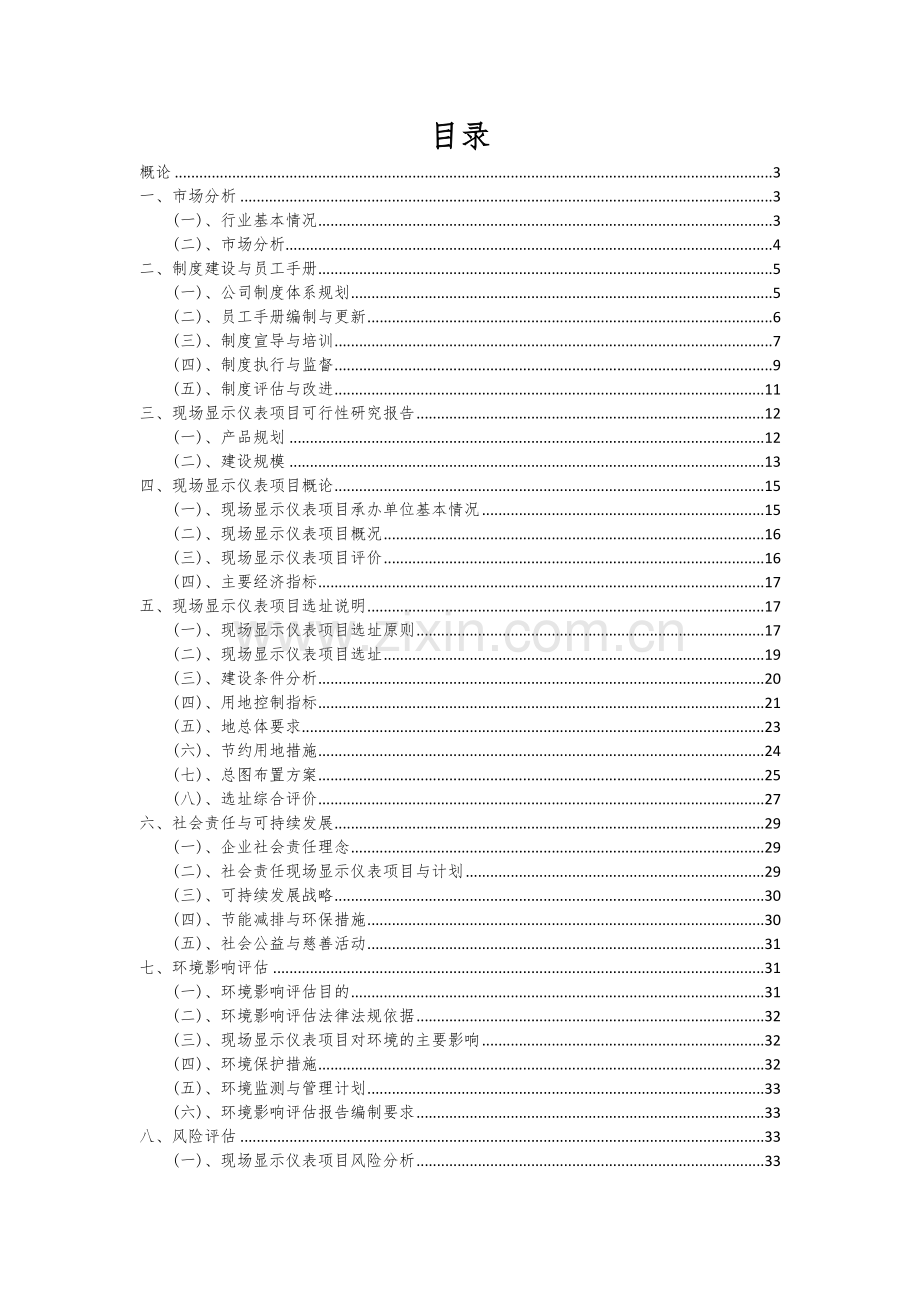 现场显示仪表项目可行性分析报告.docx_第2页