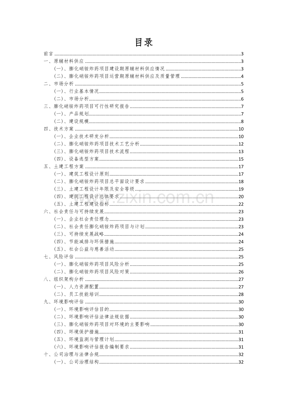 膨化硝铵炸药项目可行性分析报告.docx_第2页