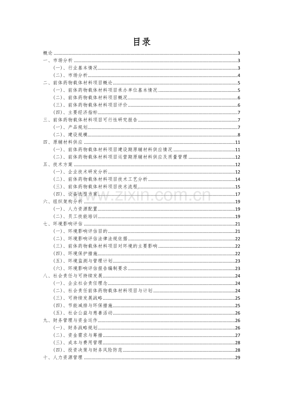 前体药物载体材料项目可行性分析报告.docx_第2页