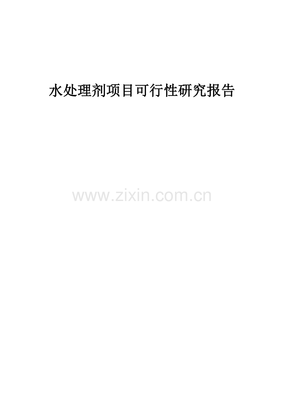 水处理剂项目可行性研究报告.docx_第1页