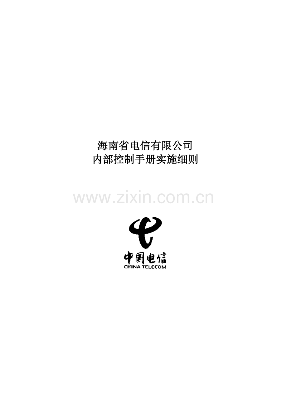 某公司内部控制的实施细则.docx_第1页