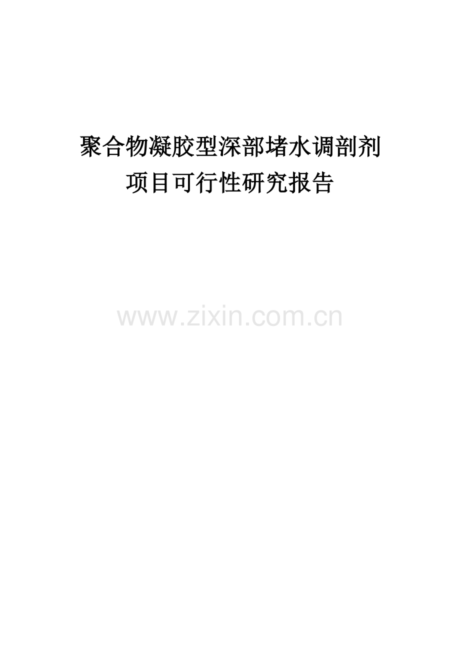 聚合物凝胶型深部堵水调剖剂项目可行性研究报告.docx_第1页