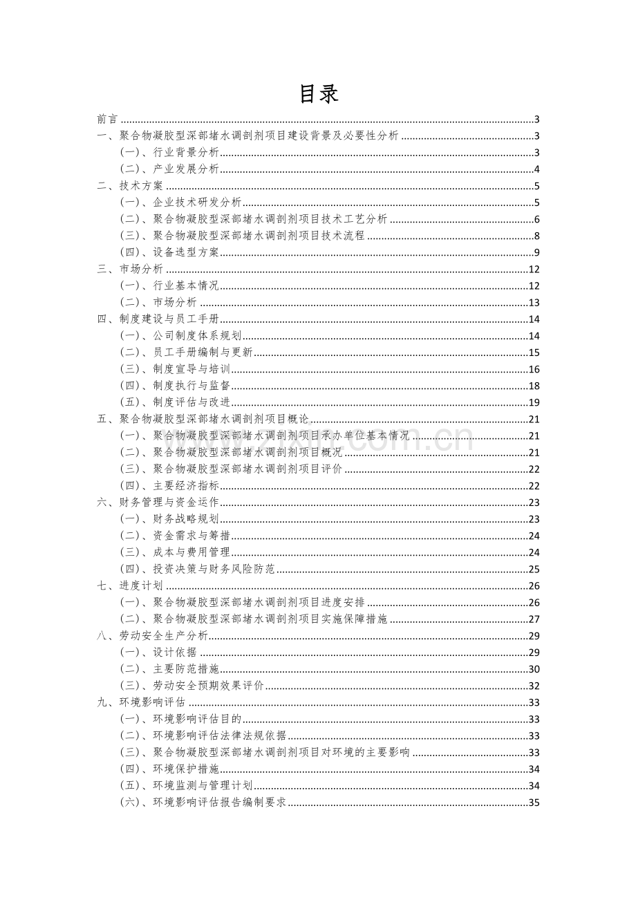 聚合物凝胶型深部堵水调剖剂项目可行性研究报告.docx_第2页