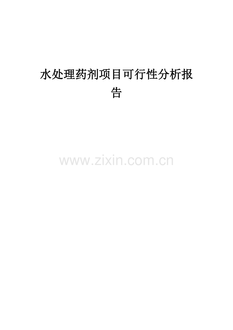 水处理药剂项目可行性分析报告.docx_第1页