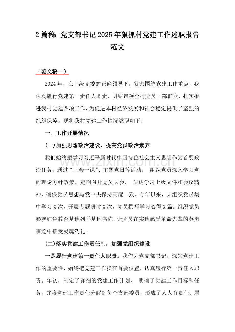 2篇稿：党支部书记2025年狠抓村党建工作述职报告范文.docx_第1页