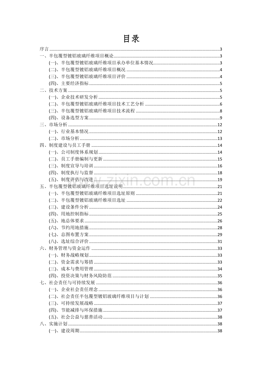 半包覆型镀铝玻璃纤维项目可行性研究报告.docx_第2页