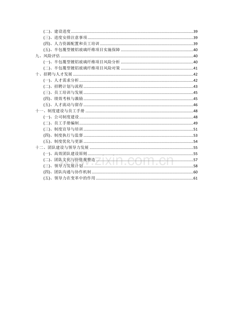 半包覆型镀铝玻璃纤维项目可行性研究报告.docx_第3页