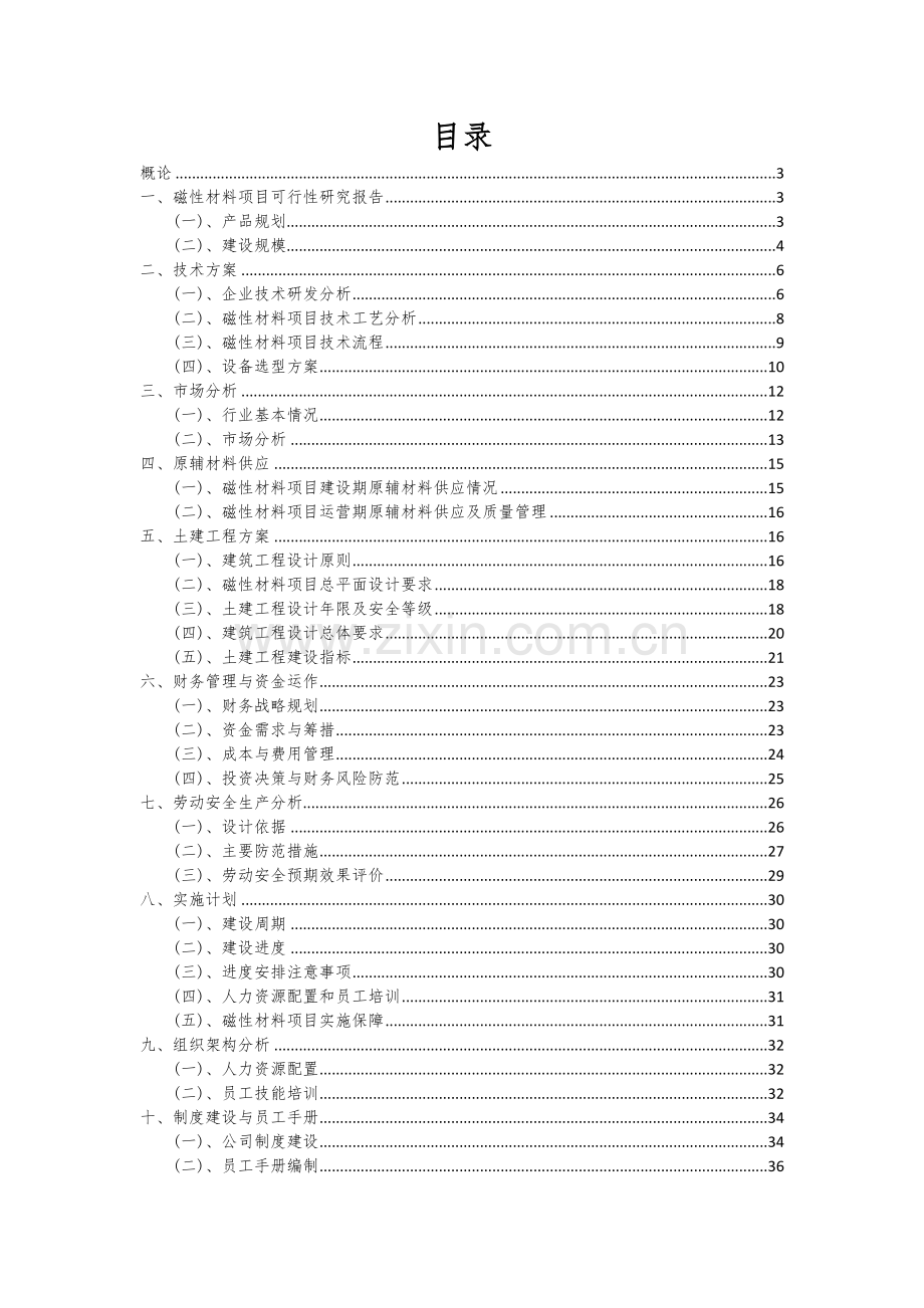 磁性材料项目可行性分析报告.docx_第2页