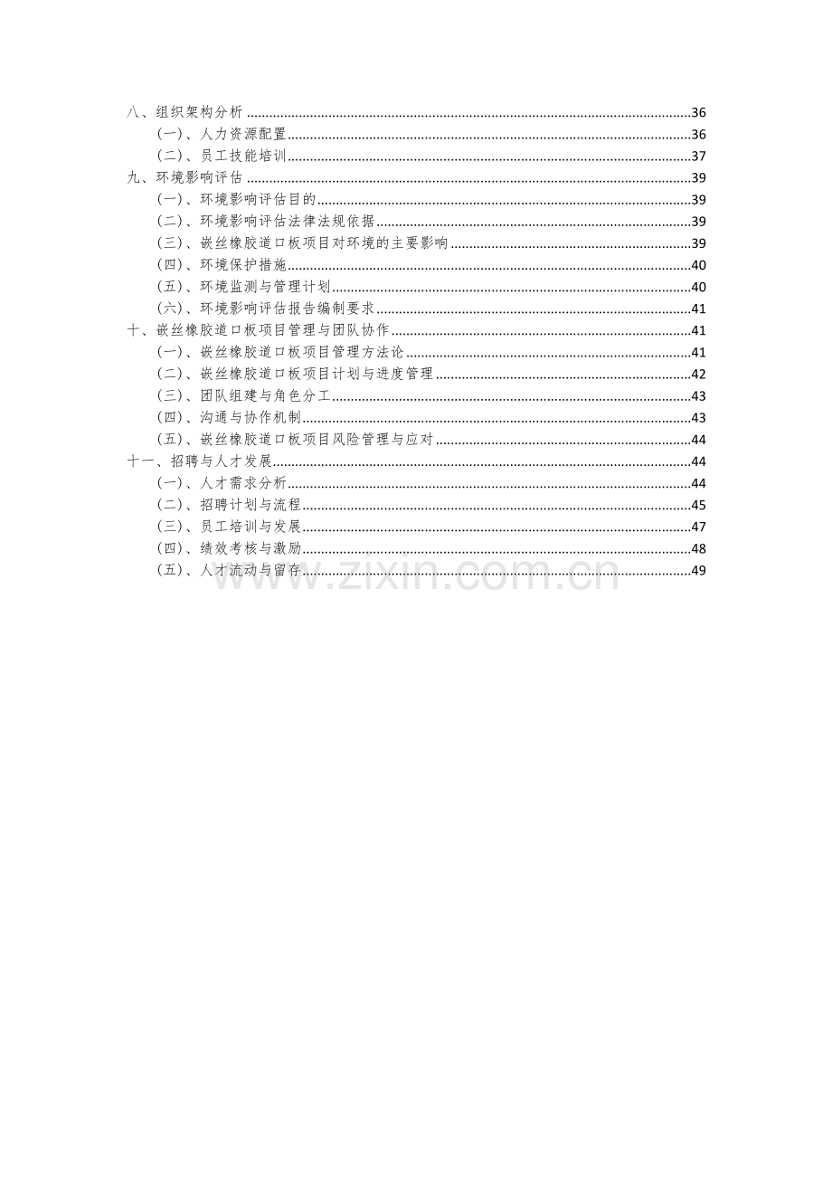 嵌丝橡胶道口板项目投资分析及可行性报告.docx_第3页