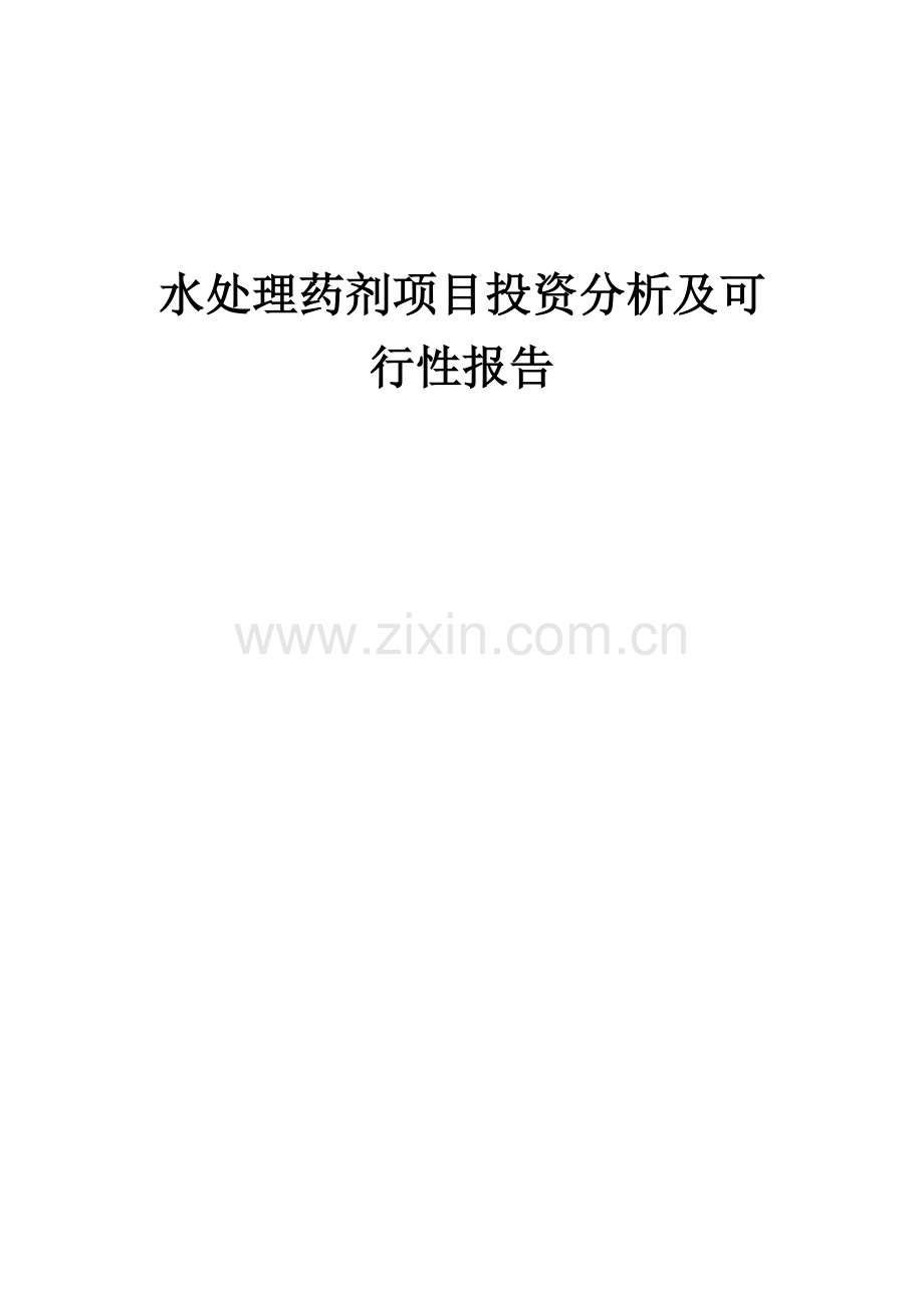 水处理药剂项目投资分析及可行性报告.docx_第1页